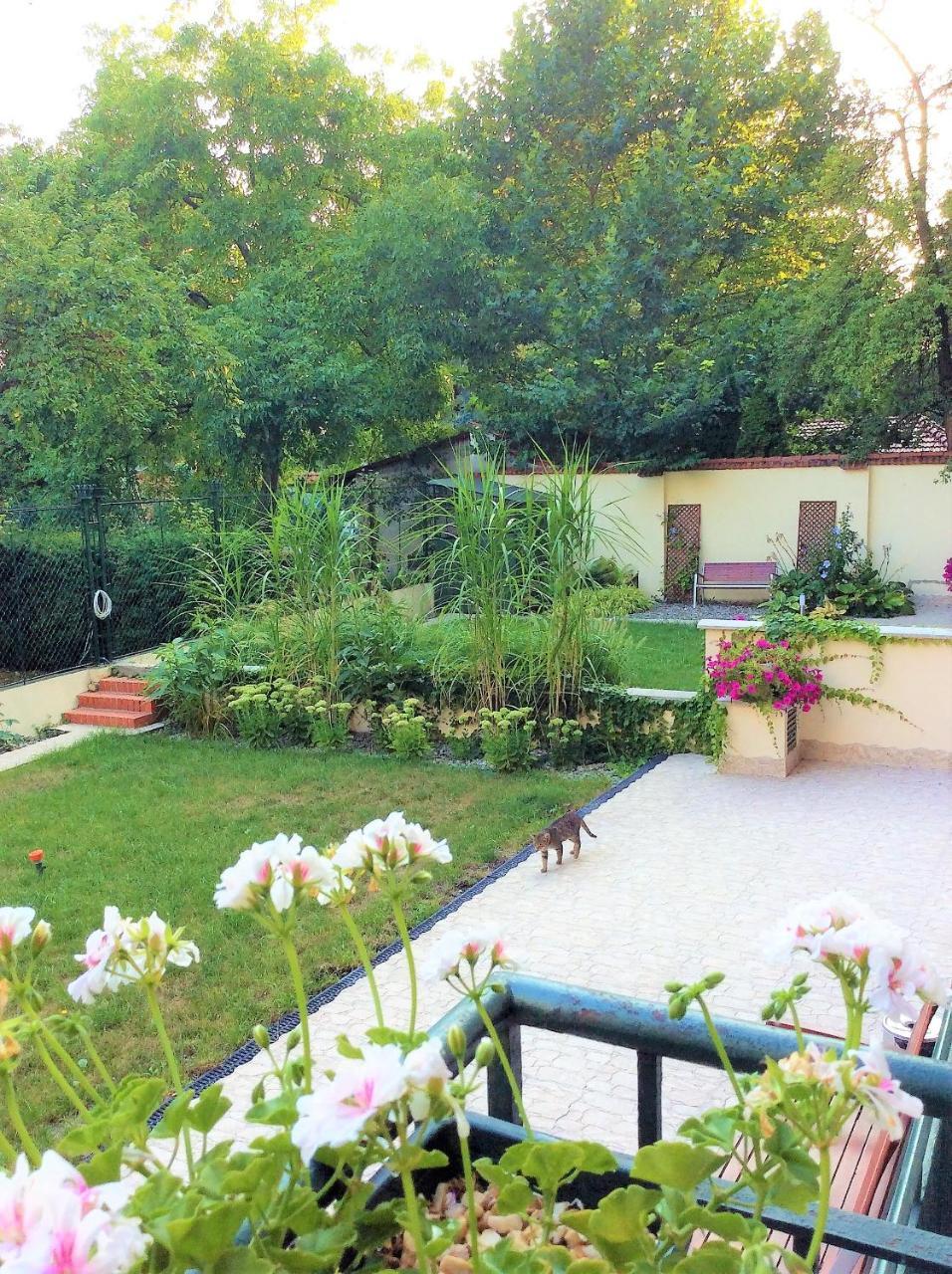 Apartament Amaryllis Krakau Buitenkant foto